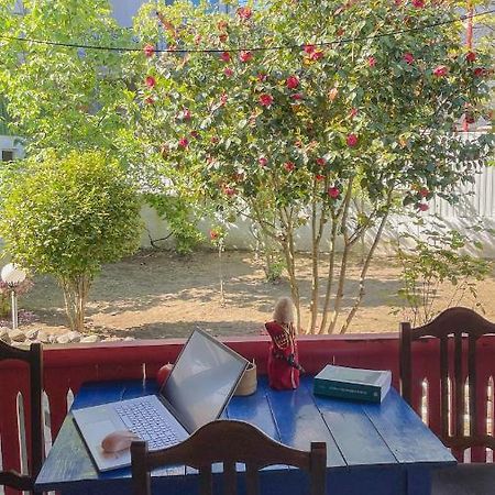 Cottage Коттеджи С Балконом Kobuleti Exterior photo